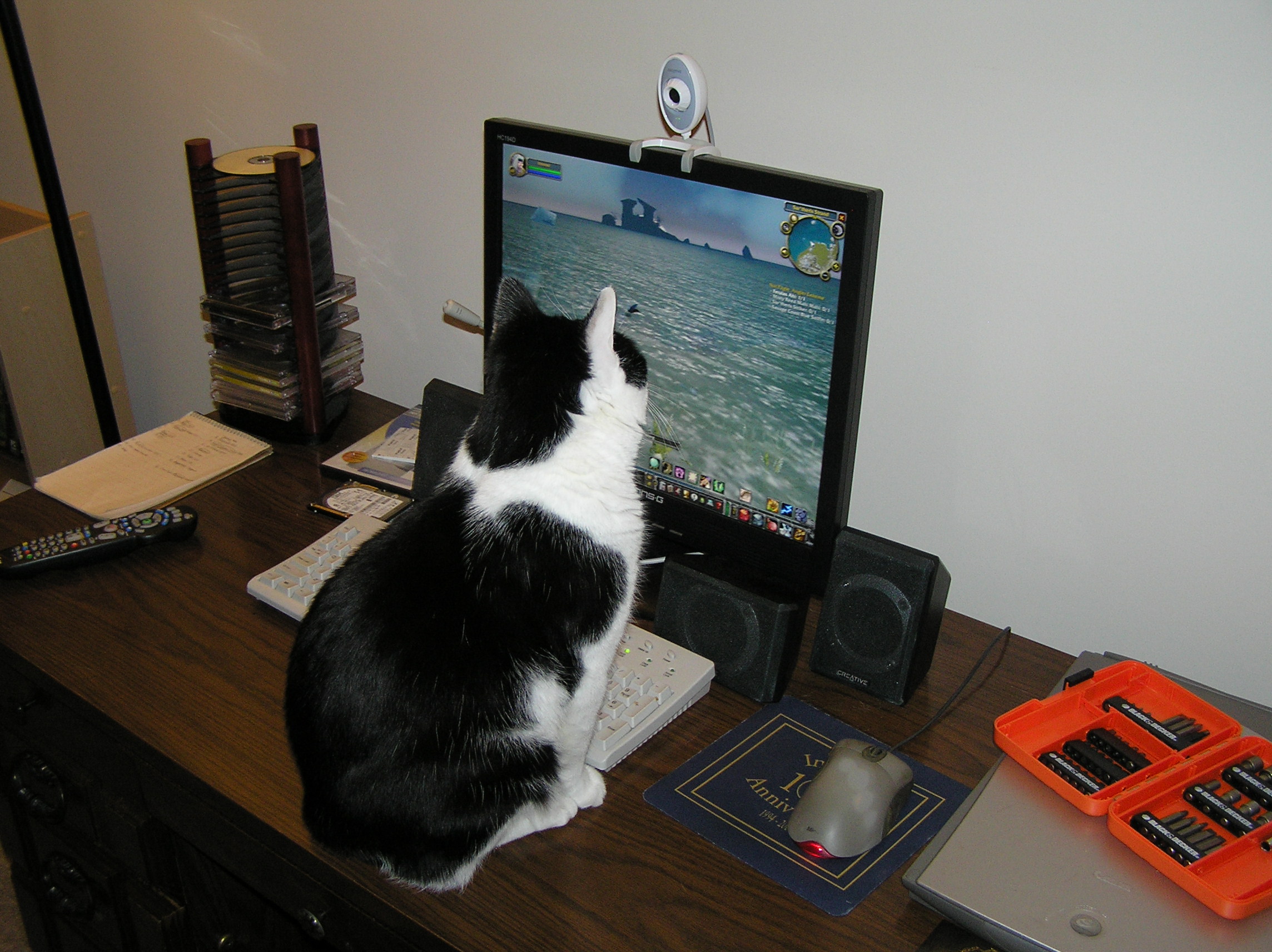 Gamer Cat - Dec 30 2007.jpg