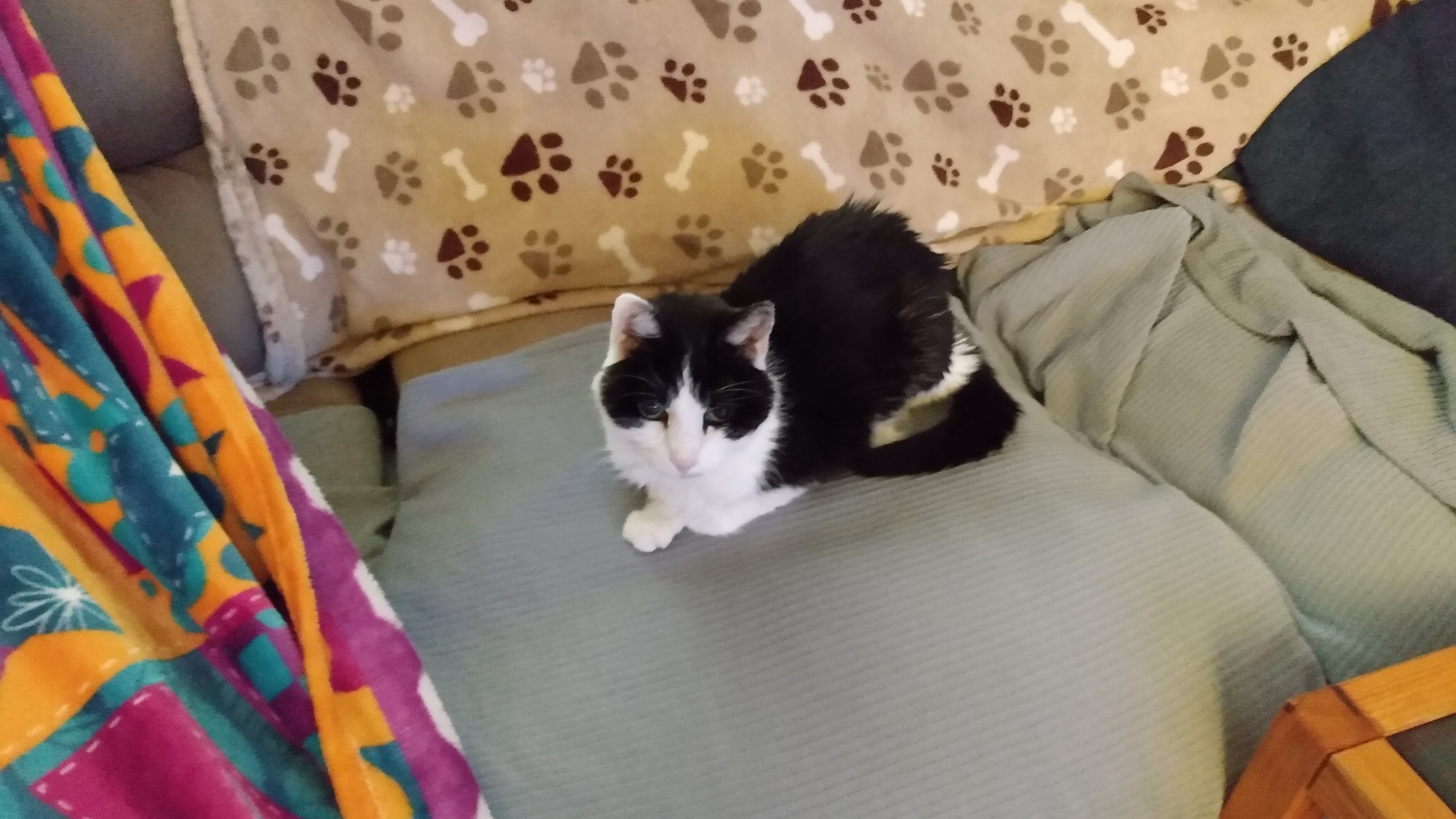 Trumble's last photo - Mar 6 2026.jpg